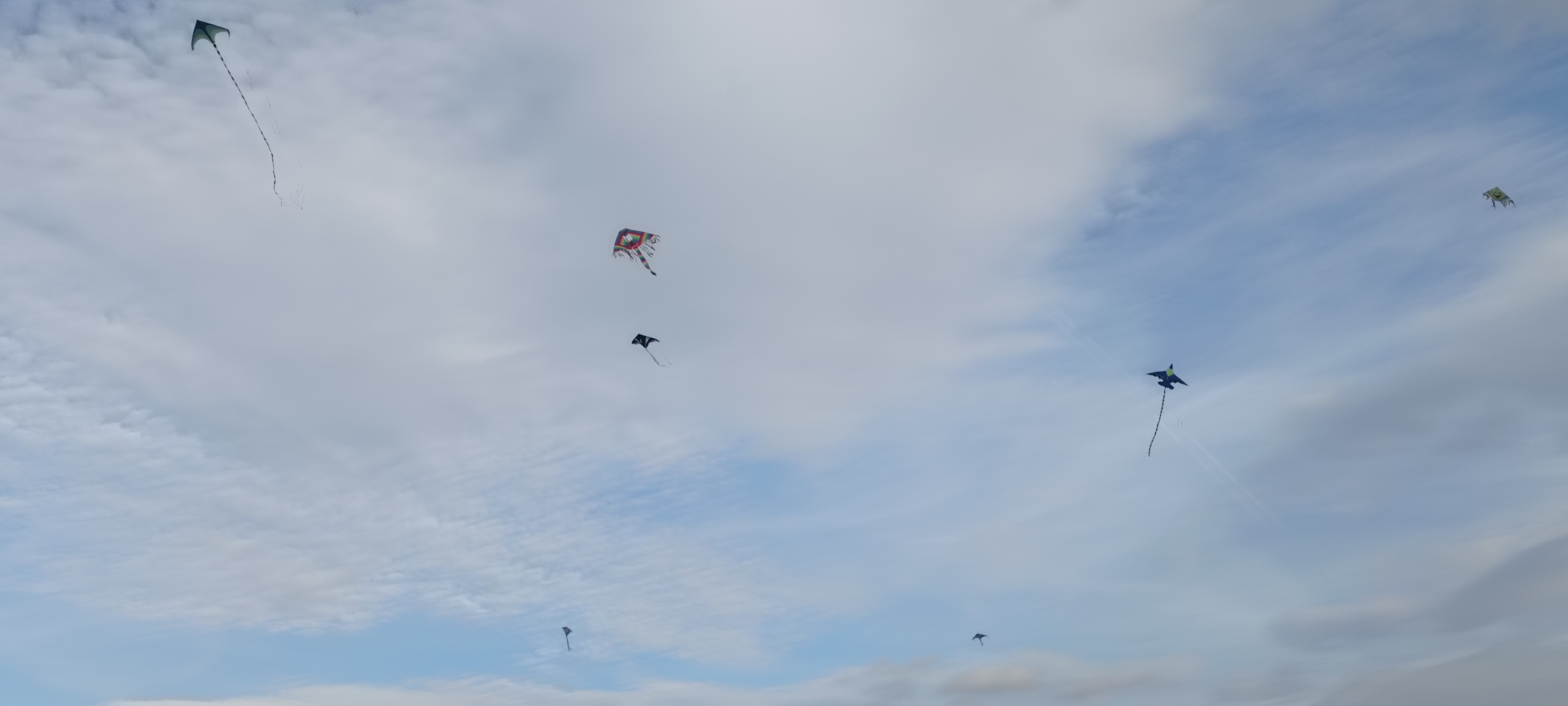 IMG_20231005_161346