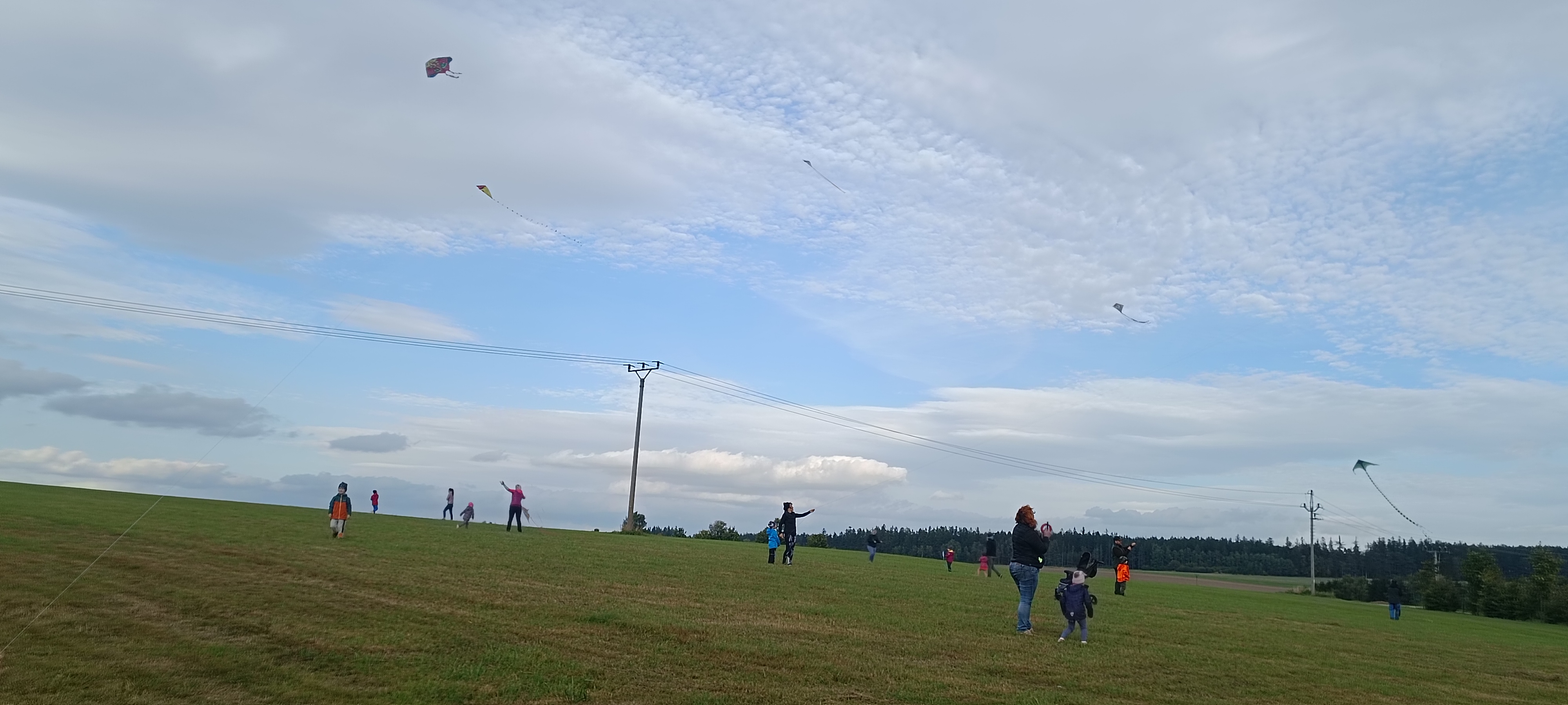 IMG_20231005_161358
