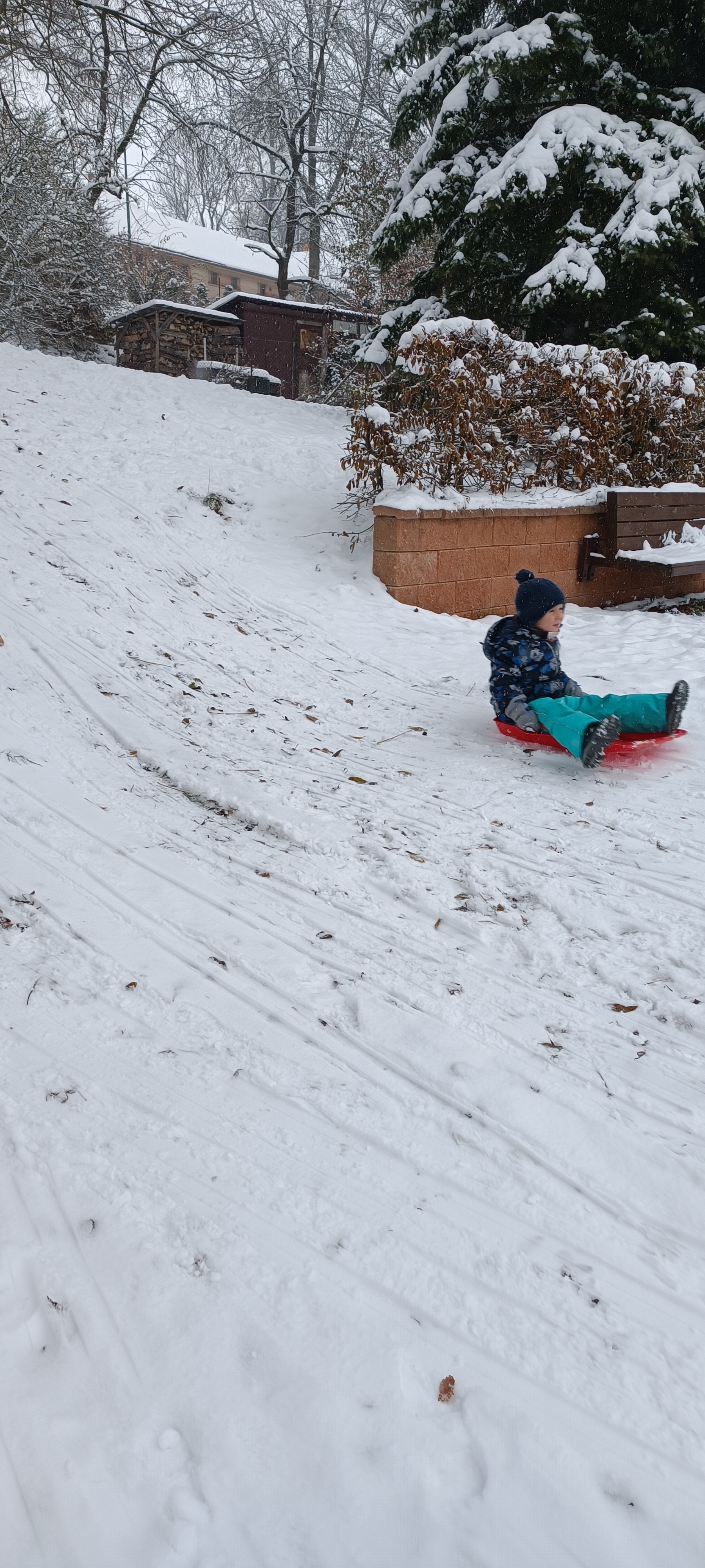 IMG_20231201_101535